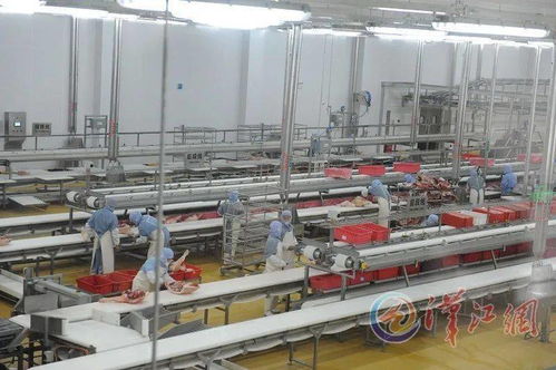 聽 美妙 鏈 曲已奏響